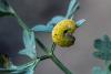201080 – Photo : Daniel Ventard – France (05)