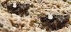 201123 – Photo : jpjepilou – Maroc