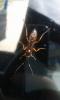 202113 – Photo : Guillaume Bigayon – France (51)