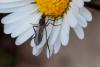 202614 – Photo : Pierre Duhem – France (91)
