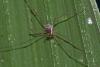 202622 – Photo : D. Martinez – Philippines
