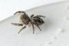 202666 – Photo : florent besson – France (18)