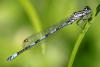 202038 – Photo : Gilles Creyssac – France (16)