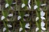 202183 – Photo : Pierre Crouzet – France (39)