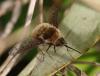 203014 – Photo : Marc Thibault – France (13)