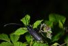 203920 – Photo : Christophe Quintin – France (21)