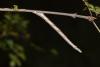 203785 – Photo : Matthias Colin – France (30)