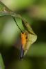203067 – Photo : D. Martinez – Philippines