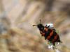 203577 – Photo : Lionel Casset – Jordanie