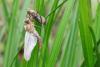203083 – Photo : Maamar SELLAM – France (28)