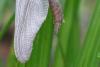 203084 – Photo : Maamar SELLAM – France (28)