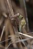 203631 – Photo : Akaren Goudiaby – France (33)