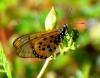 203752 – Photo : Jean-Claude Jamoulle – TAAF