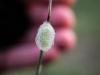203741 – Photo : BourrinOman – France (83)