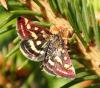 203762 – Photo : Catherine Reymonet-Smitten – France (31)