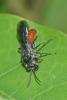 204128 – Photo : D. Martinez – Philippines
