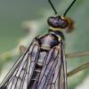 204471 – Photo : Didier Houbrechts – Belgique