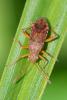204475 – Photo : Didier Houbrechts – Belgique