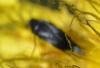 204932 – Photo : Christian Berquer – France (04)