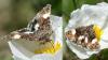 204568 – Photo : Liliane Delattre – France (30)