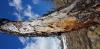 205277 – Photo : Blanc Mickael – Suisse