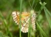 205548 – Photo : Ppersuy – France (86)