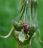 205458 – Photo : Maria Justamond – France (78)