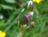205457 – Photo : Maria Justamond – France (78)