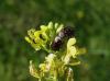 205378 – Photo : Maria Justamond – France (77)