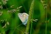 205173 – Photo : Guillaume Delporte – France (59)