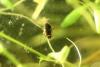 205687 – Photo : Mathurin CARNET – France (03)