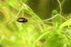 205688 – Photo : Mathurin CARNET – France (03)