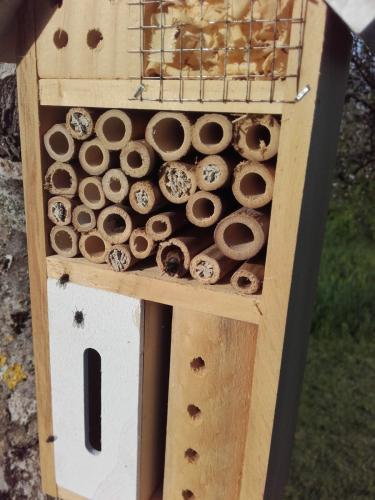 Hotel insectes