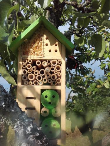 Hotel insectes