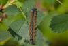206655 – Photo : Pierre Duhem – France (73)