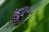 206718 – Photo : Didier Houbrechts – Belgique