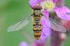 206878 – Photo : Didier Houbrechts – Belgique