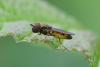 206964 – Photo : Didier Houbrechts – Belgique