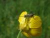 206024 – Photo : Maria Justamond – France (77)