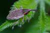 207269 – Photo : Pierre Duhem – France (73)