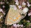 207818 – Photo : Yoann Pelouard – France (07)