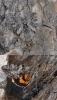 207816 – Photo : Pensa Eric – France (13)