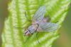 207603 – Photo : Didier Houbrechts – Belgique