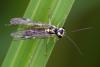 207748 – Photo : Didier Houbrechts – Belgique