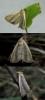 207545 – Photo : Luc Dietrich – France (67)