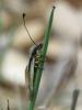 207908 – Photo : Jean-Marie PAGNIER – France (13)