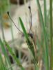207909 – Photo : Jean-Marie PAGNIER – France (13)