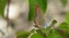 207131 – Photo : Greenlife – France (01)