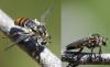 207422 – Photo : éric Pensa – France (13)