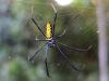 208466 – Photo : Jean Roger – Mayotte